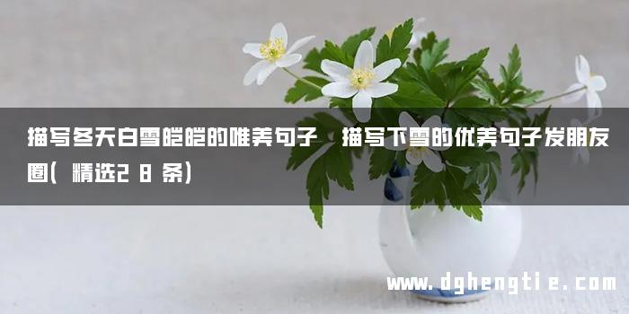 描写冬天白雪皑皑的唯美句子 描写下雪的优美句子发朋友圈（精选28条）